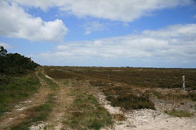 090616 Oxboel, Kjærgaard, Henne, Blaabjerg, Nymindegab - overnat campingplads